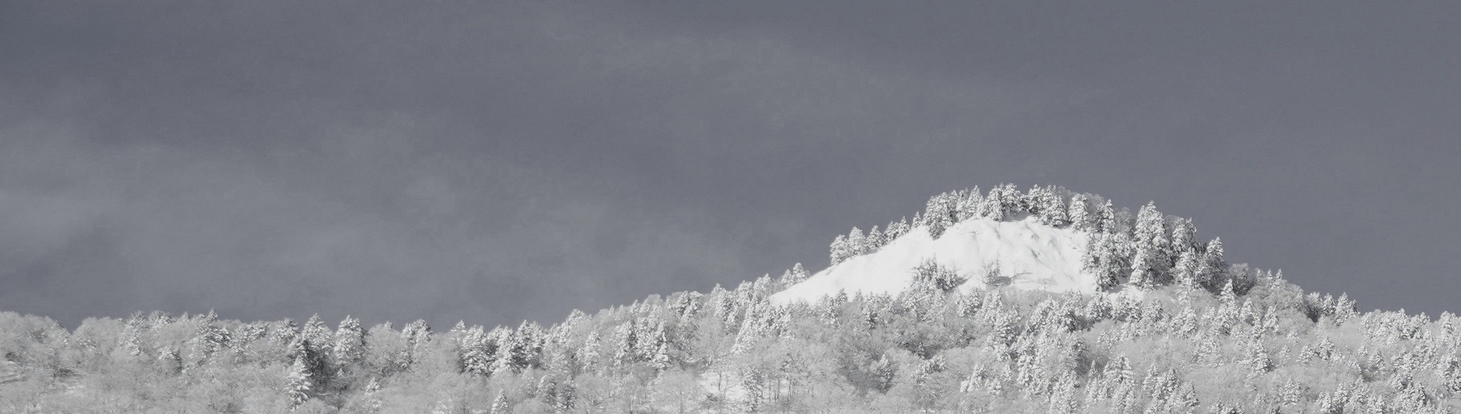 Header background
