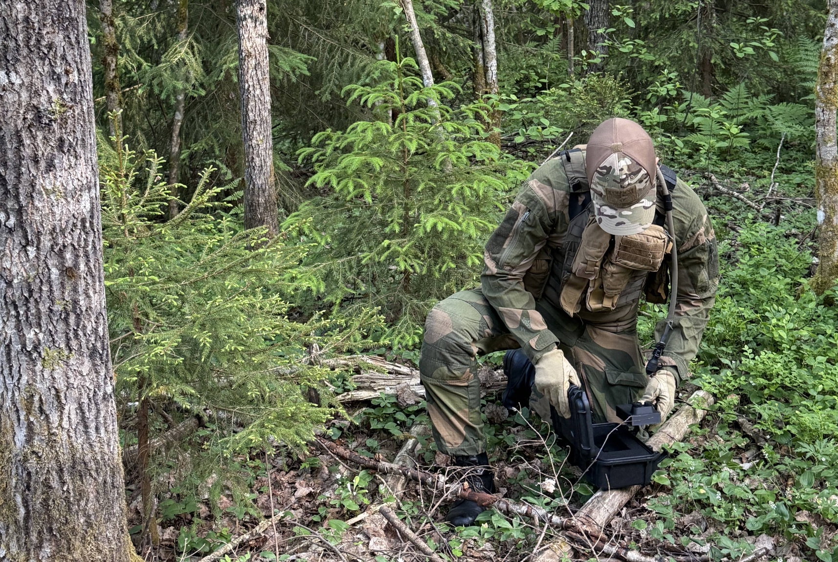 Modern training
